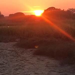 Meet your Posher, Andrez